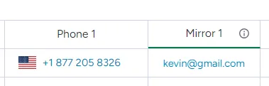 An example of manually mapping a 'Phone' field using curly brackets